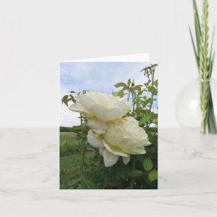 Cartão Vanessa Bell Yellow Rose, Vertical 