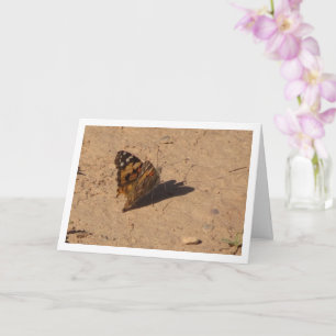 Cartão Vanessa cardui - Painted Lady Butterfly Card