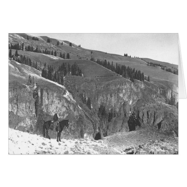 Cartão Vaqueiro separado de seu rebanho (Frente Horizontal)