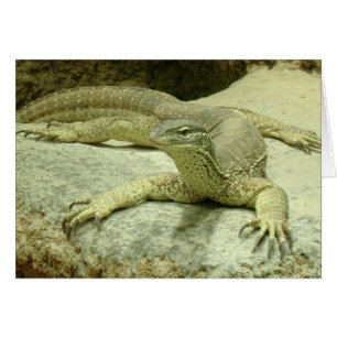 Cartão Varanus gouldii