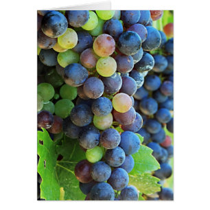 Cartão Várias Uvas