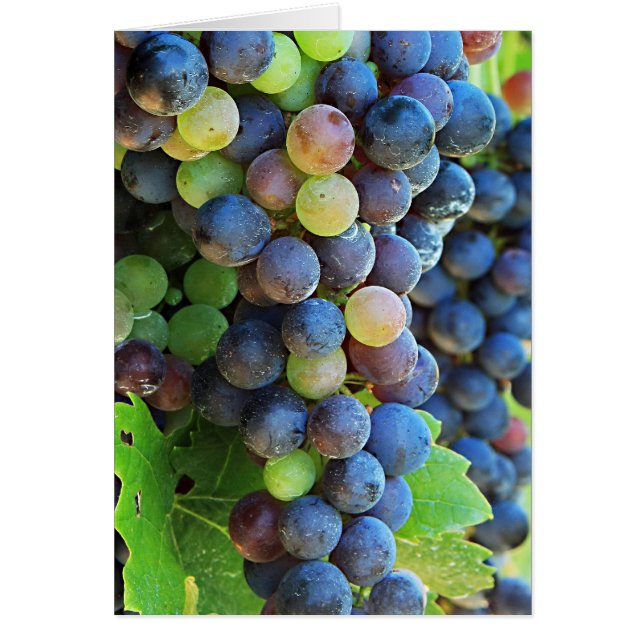 Cartão Várias Uvas (Frente)