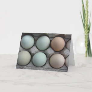 Cartão Variedade Pack