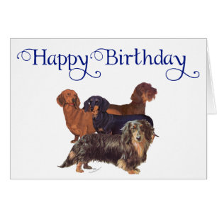 Cartão Variedades de Dachshund