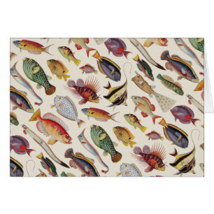 Cartão Variedades de peixes