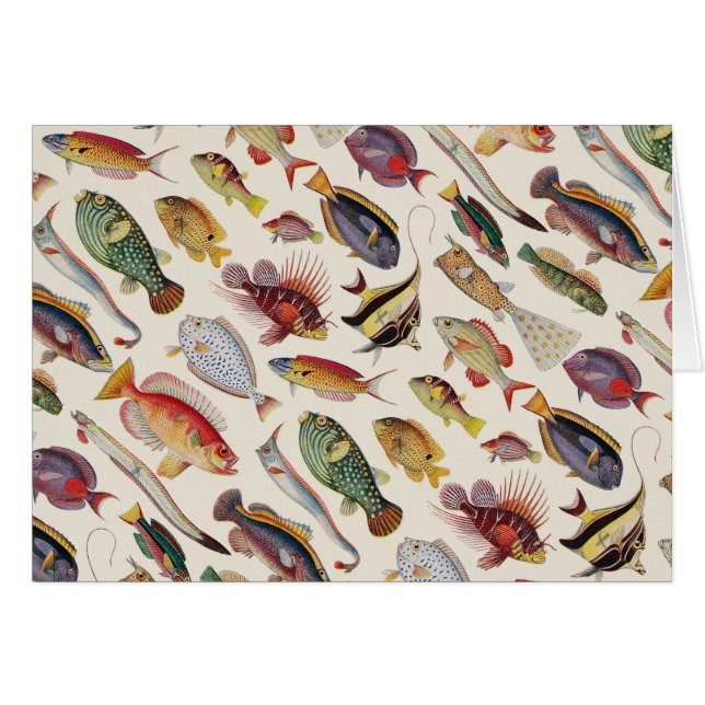 Cartão Variedades de peixes (Frente Horizontal)