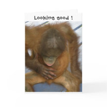 Vasectomia Bem-sucedida