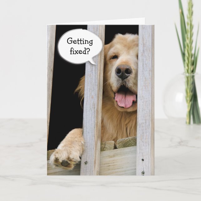 Cartão Vasectomia Humor (Frente)