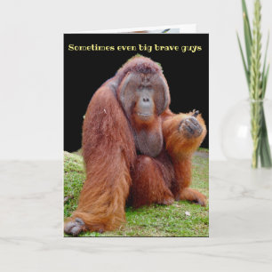 Cartão Vasectomia Humor, Corra Em Breve