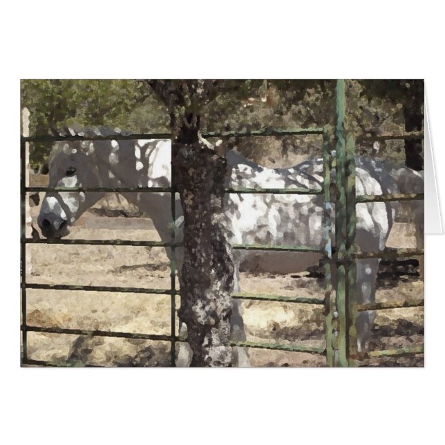 Cartão "Vato" Cavalo Árabe (Frente Horizontal)