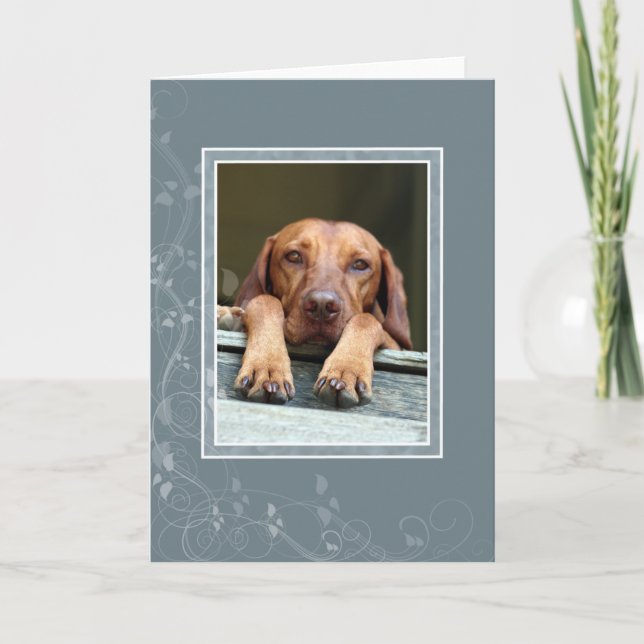 Cartão vazio 002 de Vizsla do Hungarian (Frente)