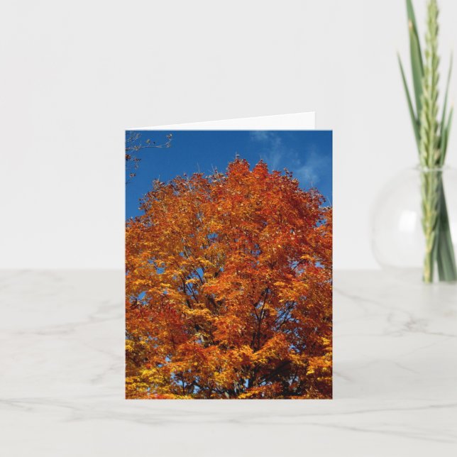 Cartão Vazio_Árvore Laranja - Primeiro Fogo (Frente)