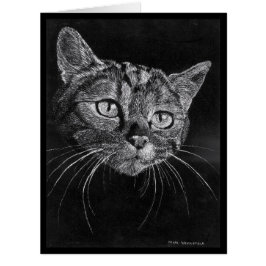 Cartão vazio da cara do gato