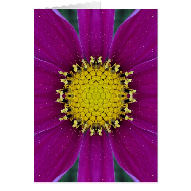 Cartão vazio da flor (Frente)