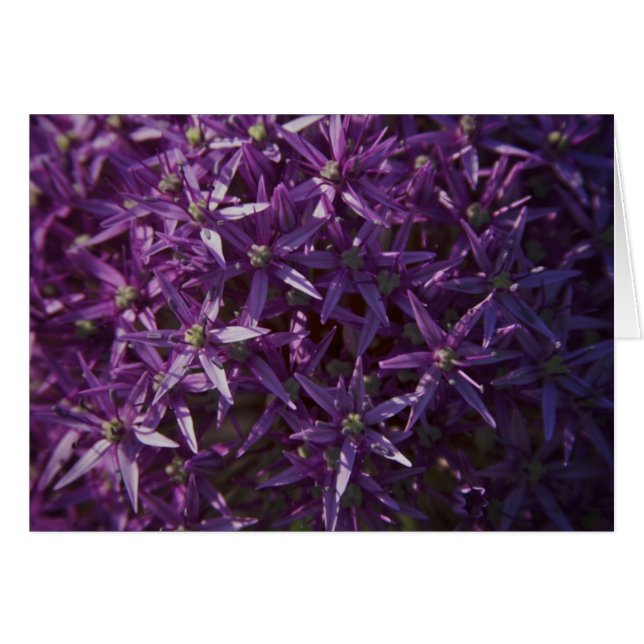 Cartão vazio da flor floral roxa (Frente Horizontal)