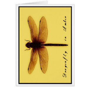 Cartão vazio da libélula