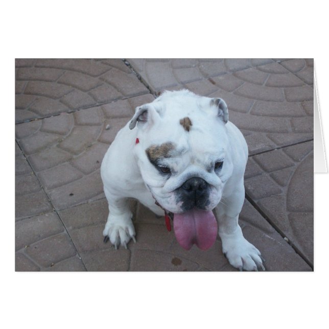 Cartão Vazio da placa do Sue Bear (Frente Horizontal)