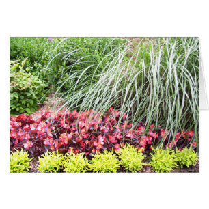 Cartão vazio das flores vivas