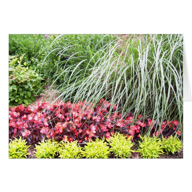 Cartão vazio das flores vivas (Frente Horizontal)