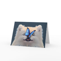 VAZIO DE NARIZ DE BOTÃO - PLACA DE TODA OCASIÃO