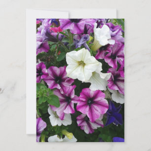 Cartão Vazio de Petunias Colorido