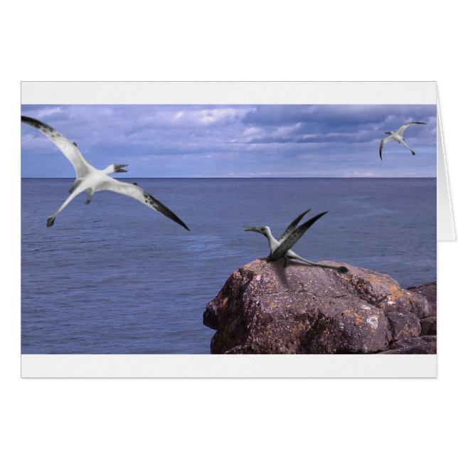 Cartão vazio de Rhamphorhynchus (Frente horizontal)