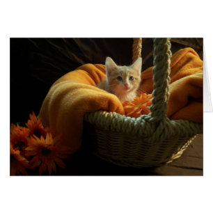cartão vazio do gatinho