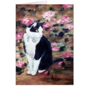 Cartão vazio do gato de Kaboodles