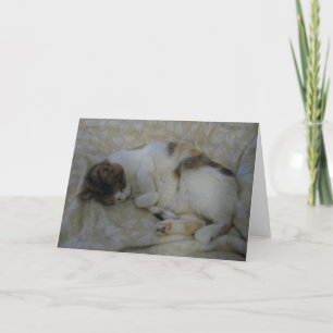 Cartão vazio do gato do sono