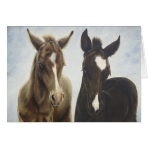 Cartão vazio dos potros