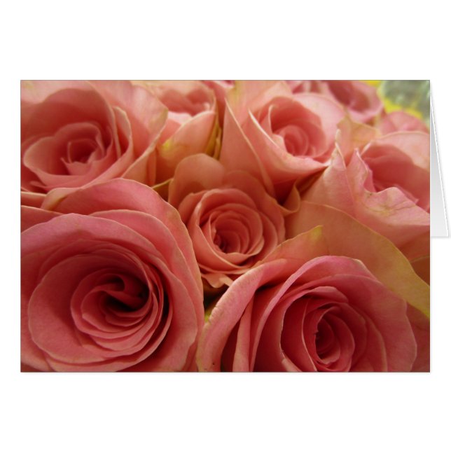 Cartão vazio dos rosas (Frente Horizontal)