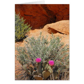 Cartão vazio, DSCF0348, ~in seu words~