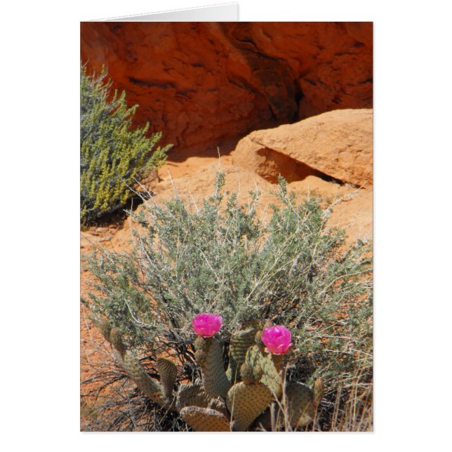 Cartão vazio, DSCF0348, ~in seu words~ (Frente)