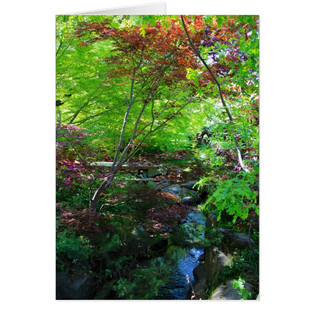 Cartão vazio, jardim botânico (Frente)