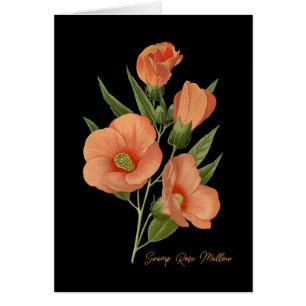 Cartão Vazio Mallow do Rosa de pântano