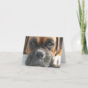 Cartão Vazio Notecard do cão do pugilista