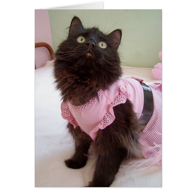 Cartão vazio para a mensagem (Frente)