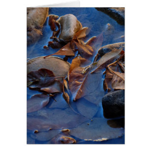 Cartão Vazio para dentro, folhas