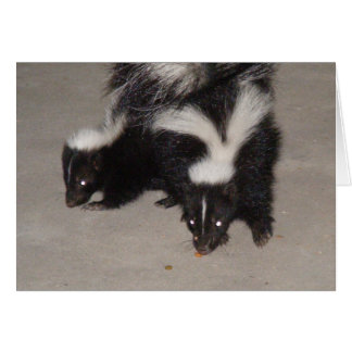 Cartão Vazio/Poema da Placa Skunk na parte traseira