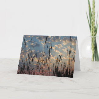 Cartão vazio - por do sol da ilha de Vancôver