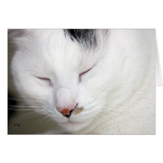 CARTÃO VAZIO PRECIOSO 2