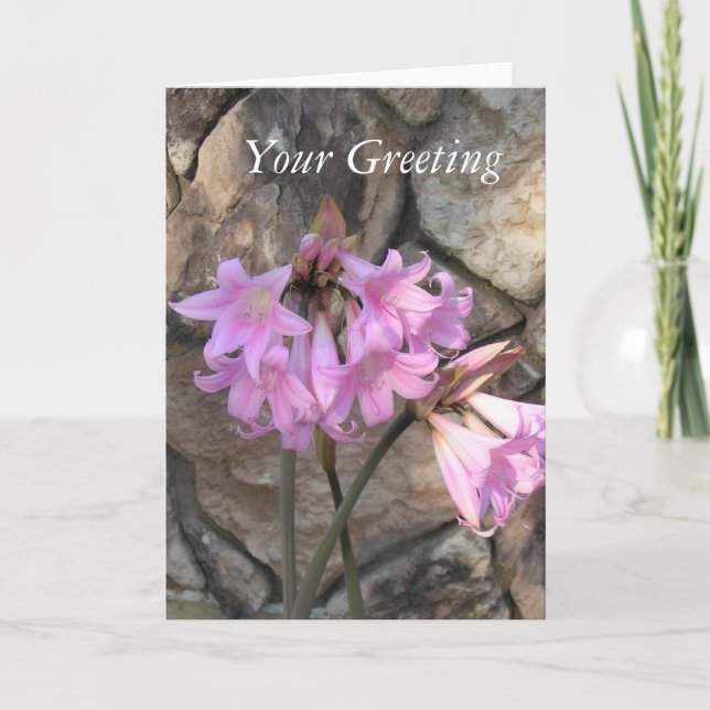 Cartão - vazio - Senhoras Rosa (Frente)