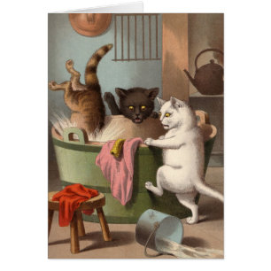 Cartão vazio - série impertinente do gato - gato