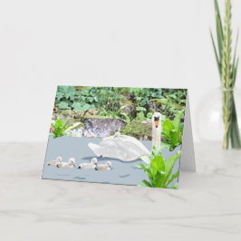 Cartão Vazio Swan e Cygnets