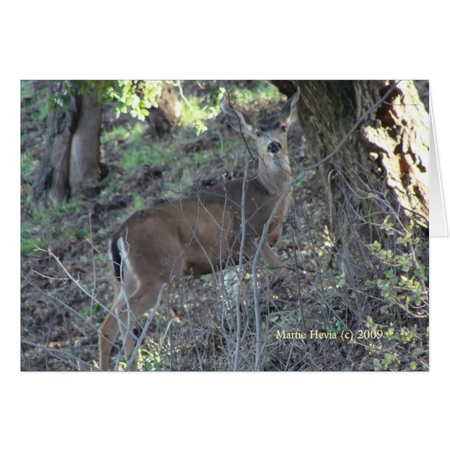 Cartão Veado (1a) - Personalizável (Frente horizontal)