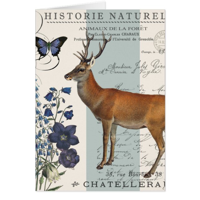 Cartão veado-da-índia (Frente)