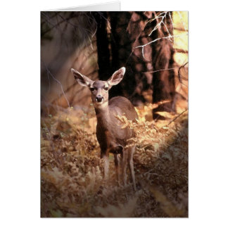Cartão Veado na Floresta