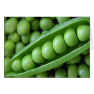 CARTÃO VEGETAIS