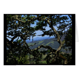 Cartão Veja da montanha de Sonoma