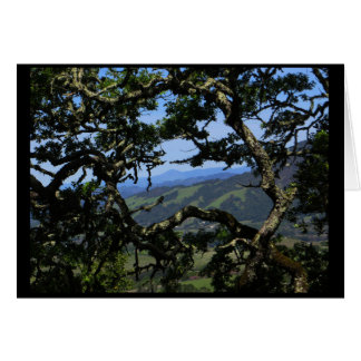 Cartão Veja da montanha de Sonoma